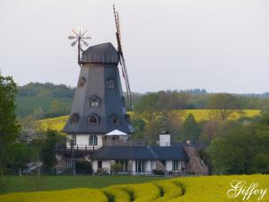 Mühle Alt Mölln