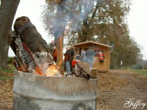 Tannenbaumschlagen auf Gut Schönau 2